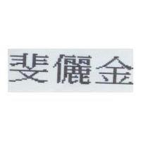 斐儷金