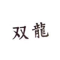 双龍