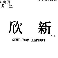 欣新 GENTLEMAN ELEPHANT