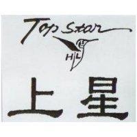 上星 Top Star 及圖