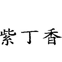 紫丁香