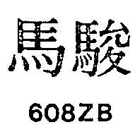 駿馬 608ZB 