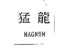 猛龍 MAGNUM