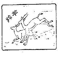 羚羊