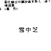 雪中芝