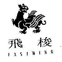 飛梭 FASTWING 及圖