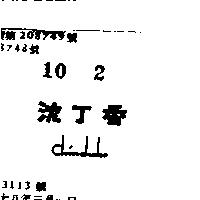 沈丁香 CHIN CHOKO 