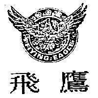 飛鷹及圖 FLYING EAGLE