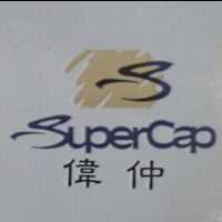 偉仲及 SUPERCAP 設計圖