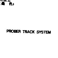 PROBER TRACK SYSTEM