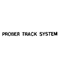 PROBER TRACK SYSTEM