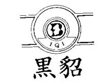 黑貂 IQI 及圖