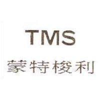 蒙特梭利 TMS