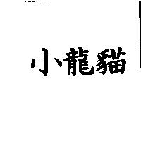 小龍貓