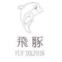 飛豚及圖 FLY DOLPHIN