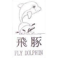飛豚及圖 FLY DOLPHIN