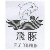 飛豚及圖 FLY DOLPHIN