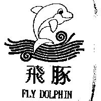 飛豚及圖 FLY DOLPHIN