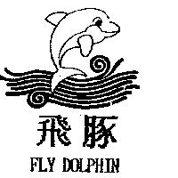 飛豚及圖 FLY DOLPHIN