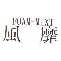 風靡 FOAM-MIXT