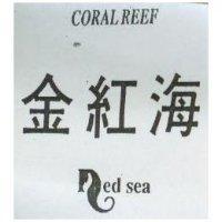 金紅海 CORALREEF Red sea 及圖