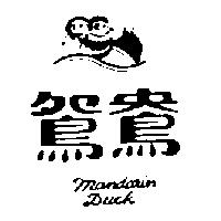鴛鴦及圖 Mandarin Duck