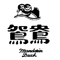 鴛鴦及圖 Mandarin Duck