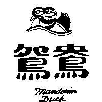 鴛鴦及圖 Mandarin Duck
