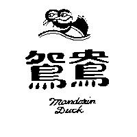 鴛鴦及圖 MANDARIN DUCK