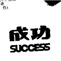 成功 SUCCESS