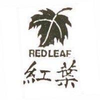 紅葉及圖 RED LEAF