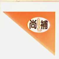 尚補及圖(彩色)