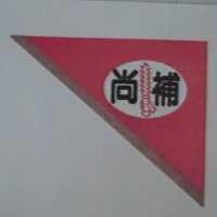 尚補及圖(彩色)