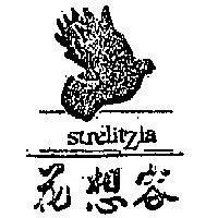 花想容及圖 STRELITZIA 