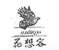 花想容及圖 STRELITZIA 