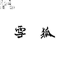 雪狐