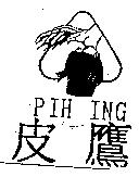 皮鷹 PIH ING 及圖