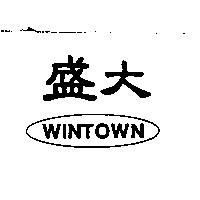 盛大 WINTOWN