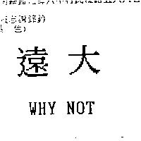 遠大 WHY NOT