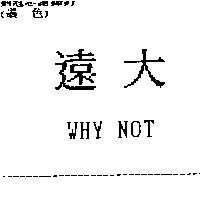 遠大 WHY NOT