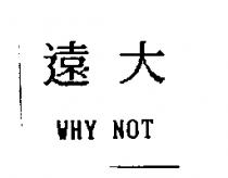 遠大 WHY NOT