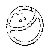 安肌貿易有限公司標章