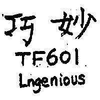 巧妙 TF601 LNGENIOUS