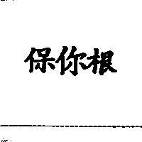 保你根