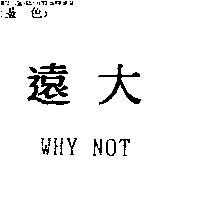 遠大 WHY NOT