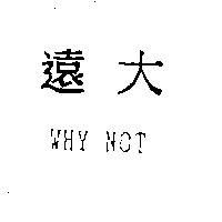 遠大 WHY NOT