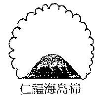 仁福海島棉及圖