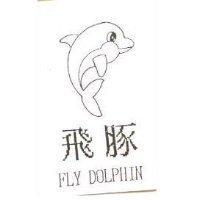 飛豚及圖 FLY DOLPHIN