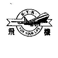 飛機及圖 S.Y.K. FOR YOUR LIFE