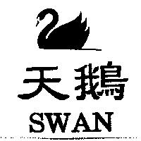 天鵝 SWAN 及圖